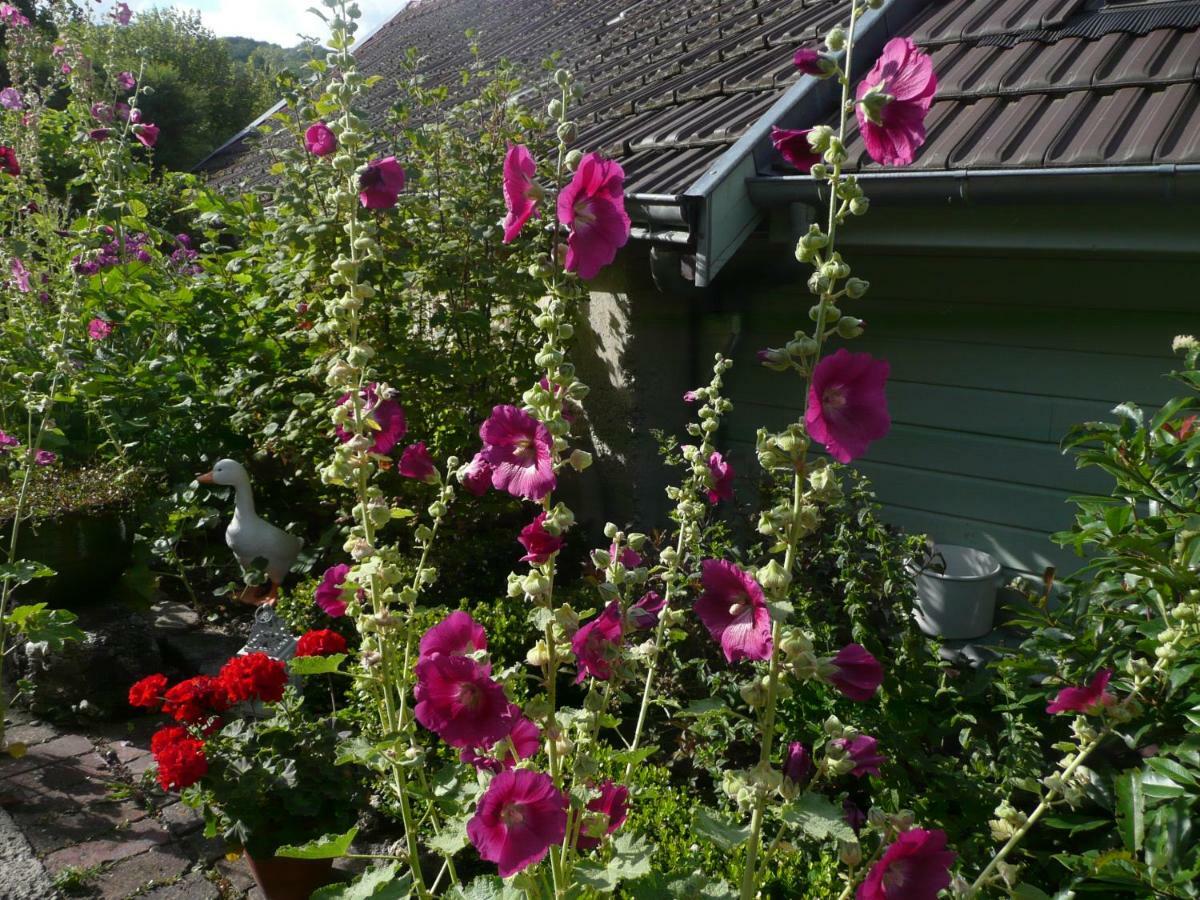 Roulotte La Dominique Bed & Breakfast Romery  ภายนอก รูปภาพ